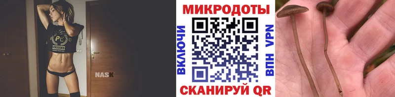 Псилоцибиновые грибы ЛСД  Безенчук 